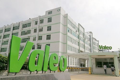 大众 疫情冲击与文化战略的双重考验